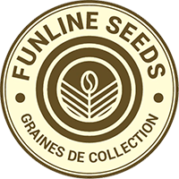 CBD Funline Seeds